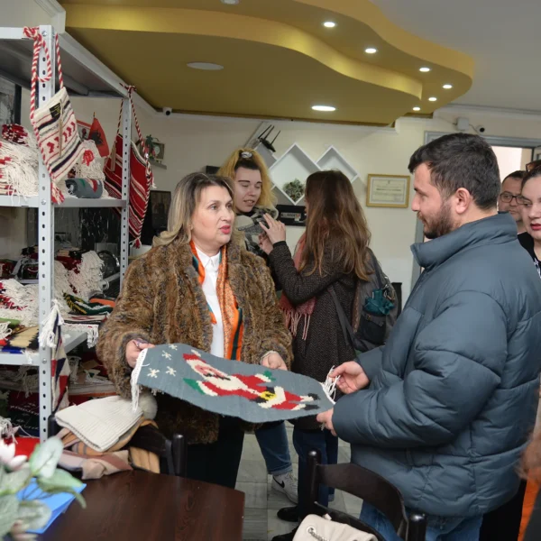 Alb13 - Spreading social enterprise training, work and inclusion (3)