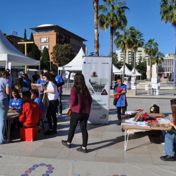 Revival of local traditional crafts in Kavaja (5)